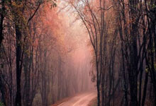 J9：[高尔夫]沙特女子国际赛提提库大赢4杆提前庆生 何沐妮T8.