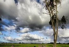 J9：杰伦-格林33分杜兰特伤退 火箭大胜太阳39分.